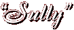 "Sully"
